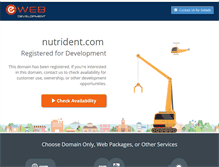 Tablet Screenshot of nutrident.com